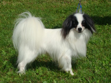 OWEN vom Maindreieck